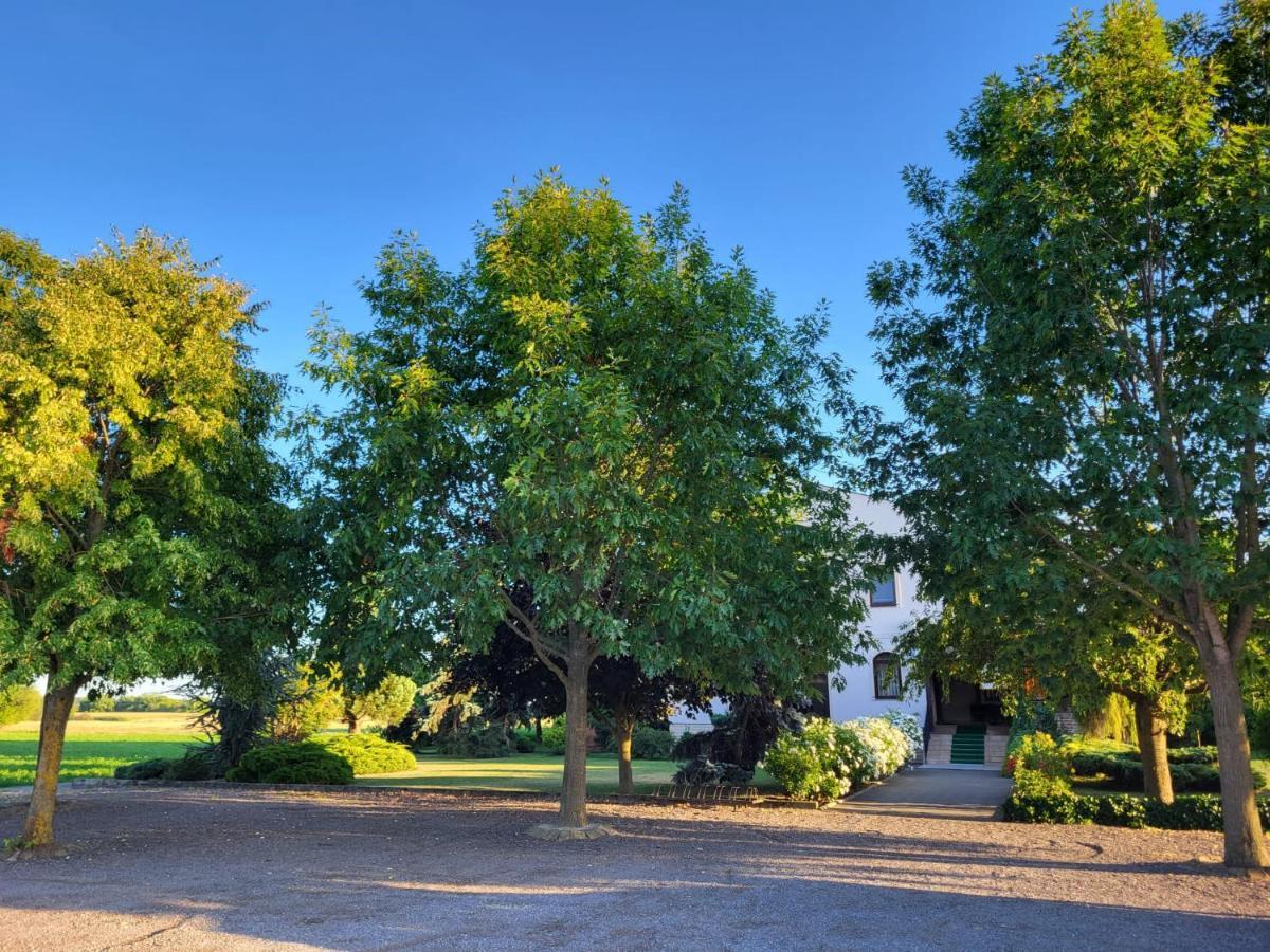 Sobe Pilajevo 2, 183 Ulica Stjepana Radica, Gola Exterior foto