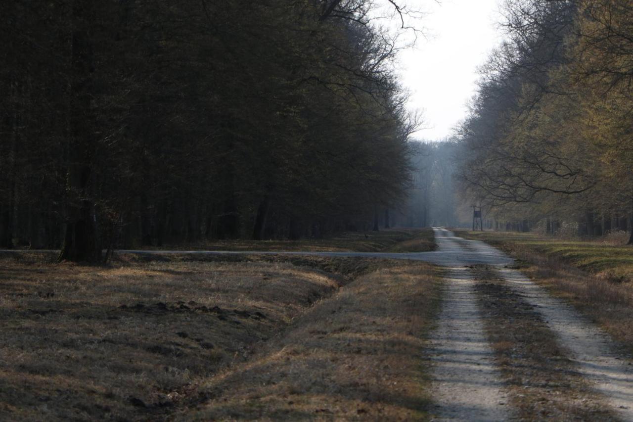 Sobe Pilajevo 2, 183 Ulica Stjepana Radica, Gola Exterior foto