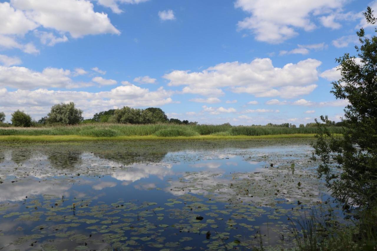 Sobe Pilajevo 2, 183 Ulica Stjepana Radica, Gola Exterior foto