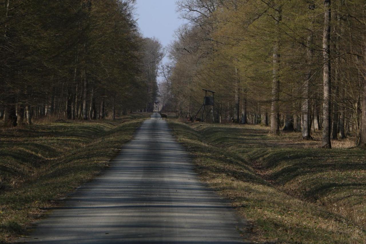 Sobe Pilajevo 2, 183 Ulica Stjepana Radica, Gola Exterior foto