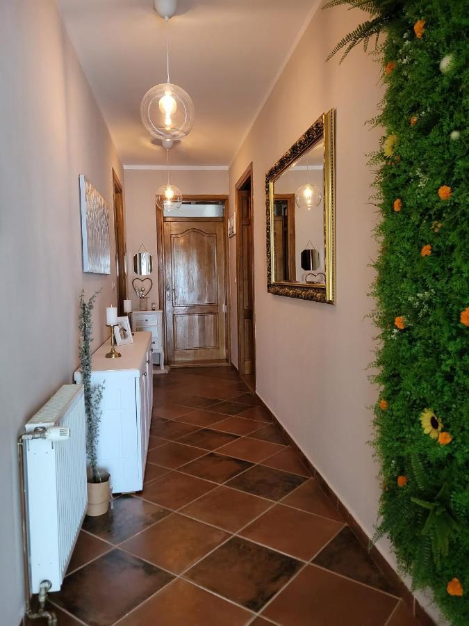 Sobe Pilajevo 2, 183 Ulica Stjepana Radica, Gola Exterior foto