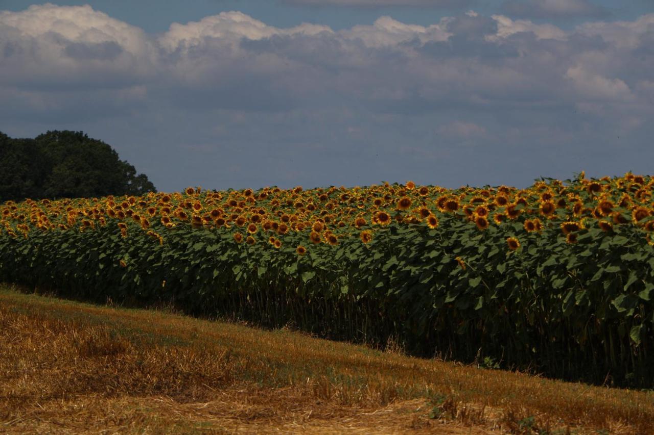 Sobe Pilajevo 2, 183 Ulica Stjepana Radica, Gola Exterior foto